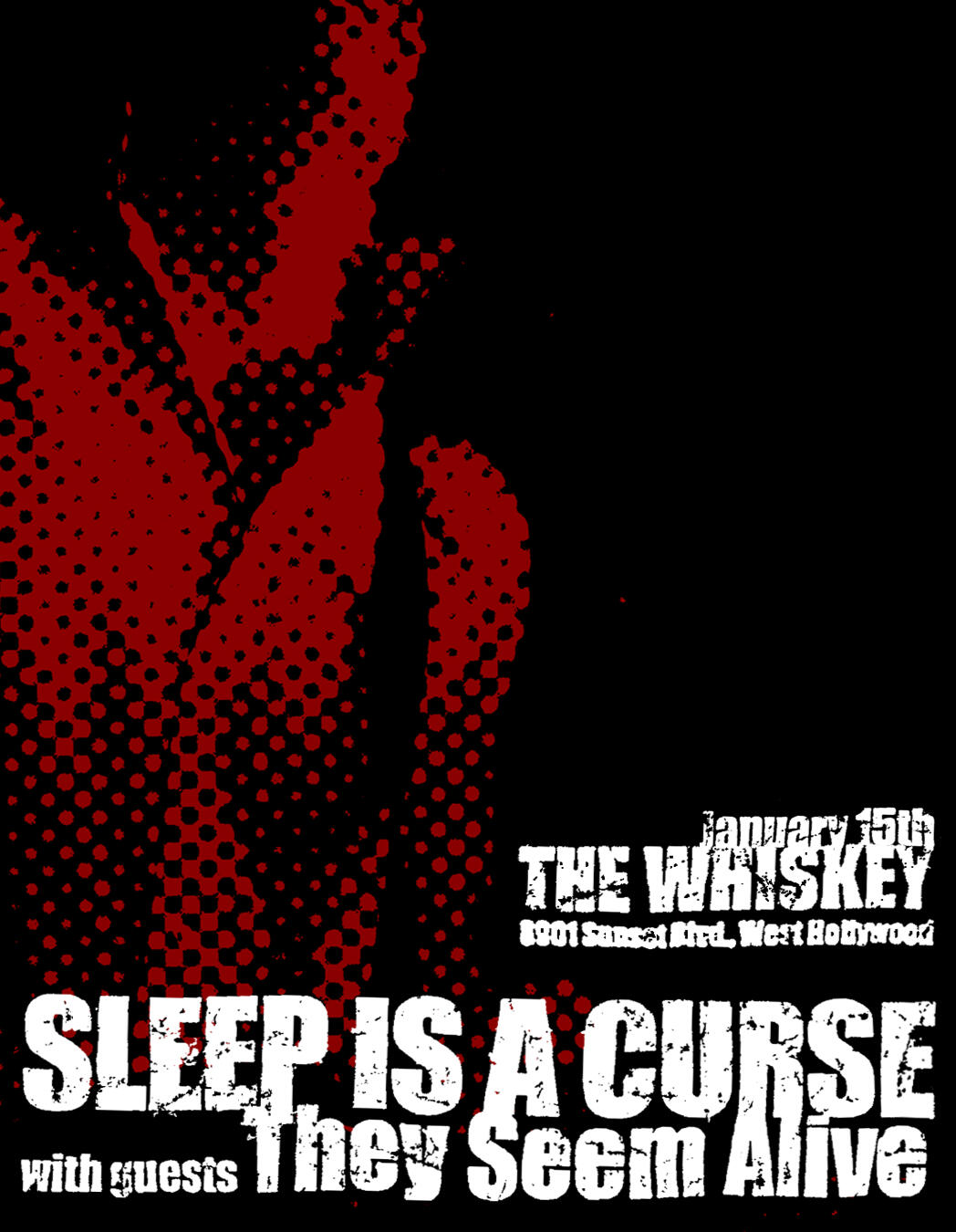 SLEEP IS A CURSE - LIVE